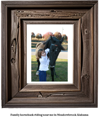 family horseback riding near me in Meadowbrook, Alabama